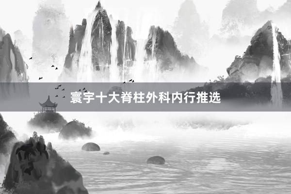 寰宇十大脊柱外科内行推选