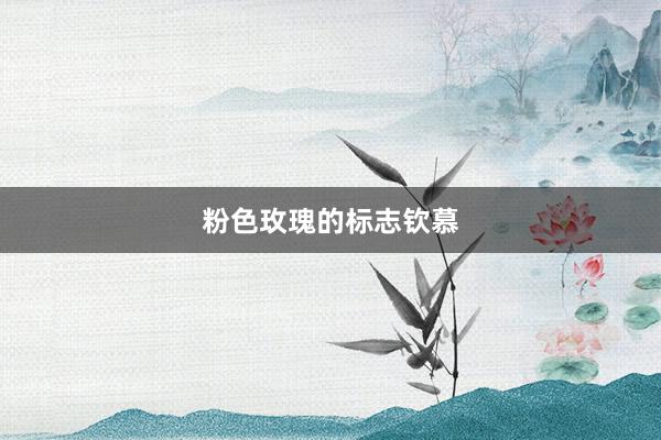 粉色玫瑰的标志钦慕
